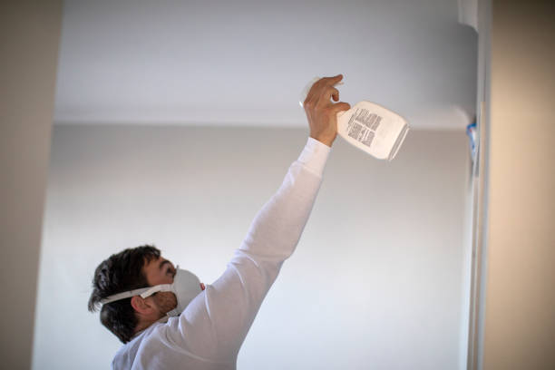 Best Commercial Mold Removal  in Blacksburg, VA